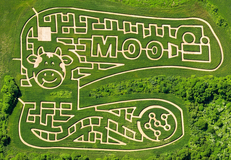 2026 Corn Maze
